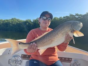 Largest and Biggest Red Drum Florida 2022